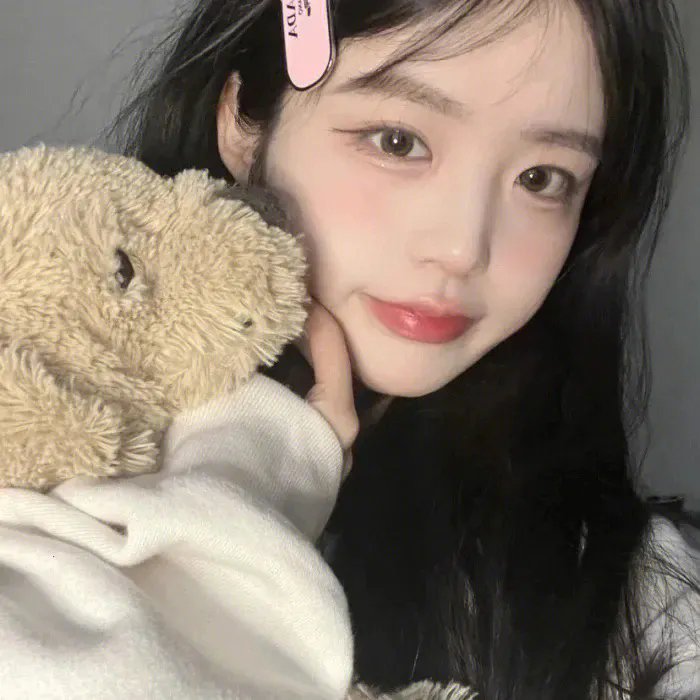 迎风伫立的狮子 封面