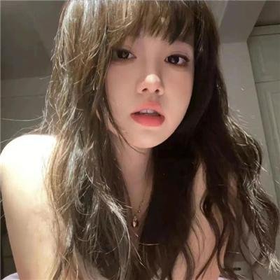 白鹭 封面