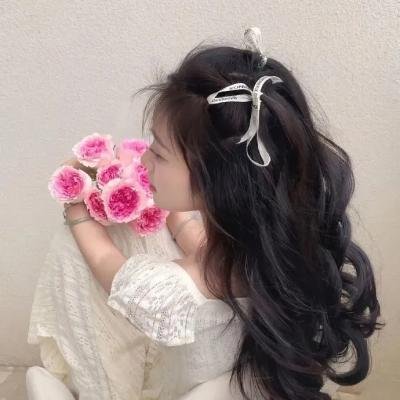 锁麟囊 封面